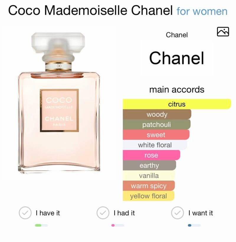 Coco CHANEL Mademoiselle eau de perfume 100ml