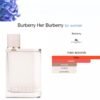 Burberry Her Eau de Parfume 100ml