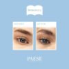 Paese Brow Gel