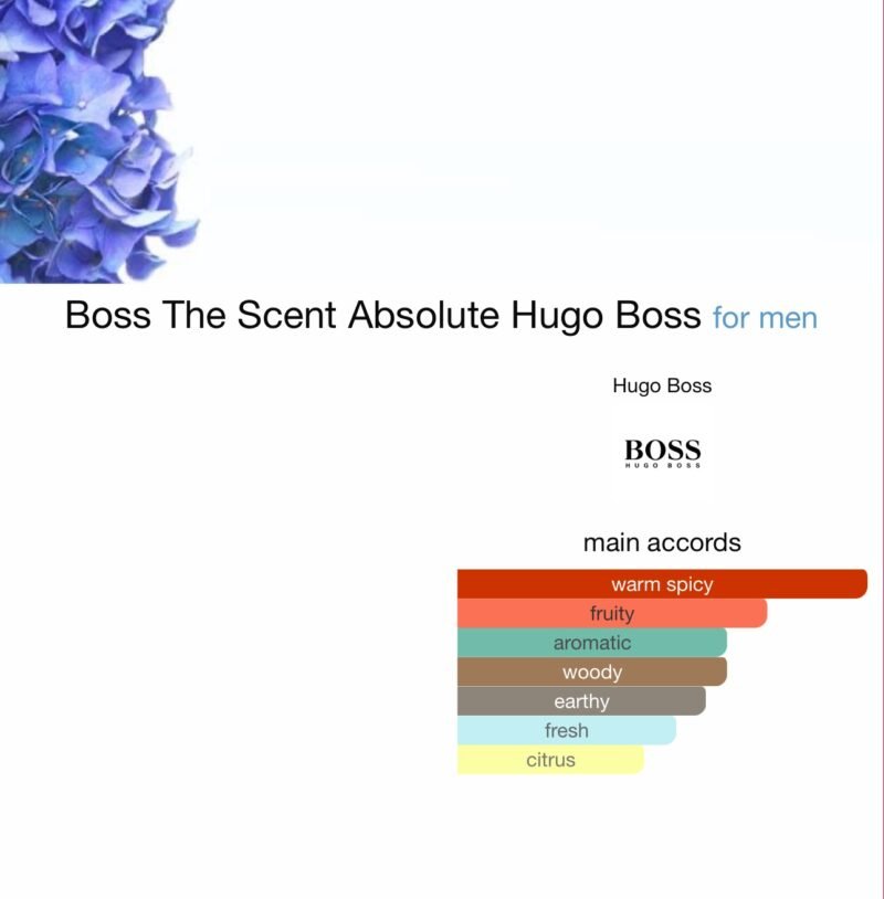 BOSS THE SCENT ABSOLUTE FOR HIM EAU DE PARFUM 100ML