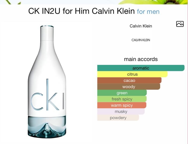 Calvin Klein CK IN2U Perfume for Men Eau De Toilette 100ml