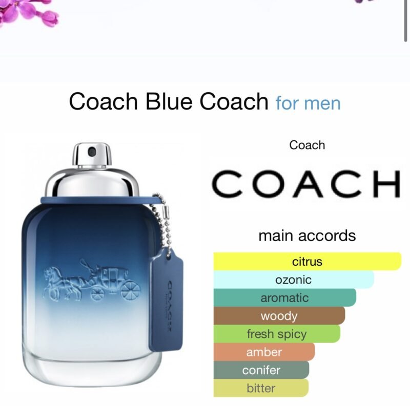 Coach Blue Eau de Toilette 100ml