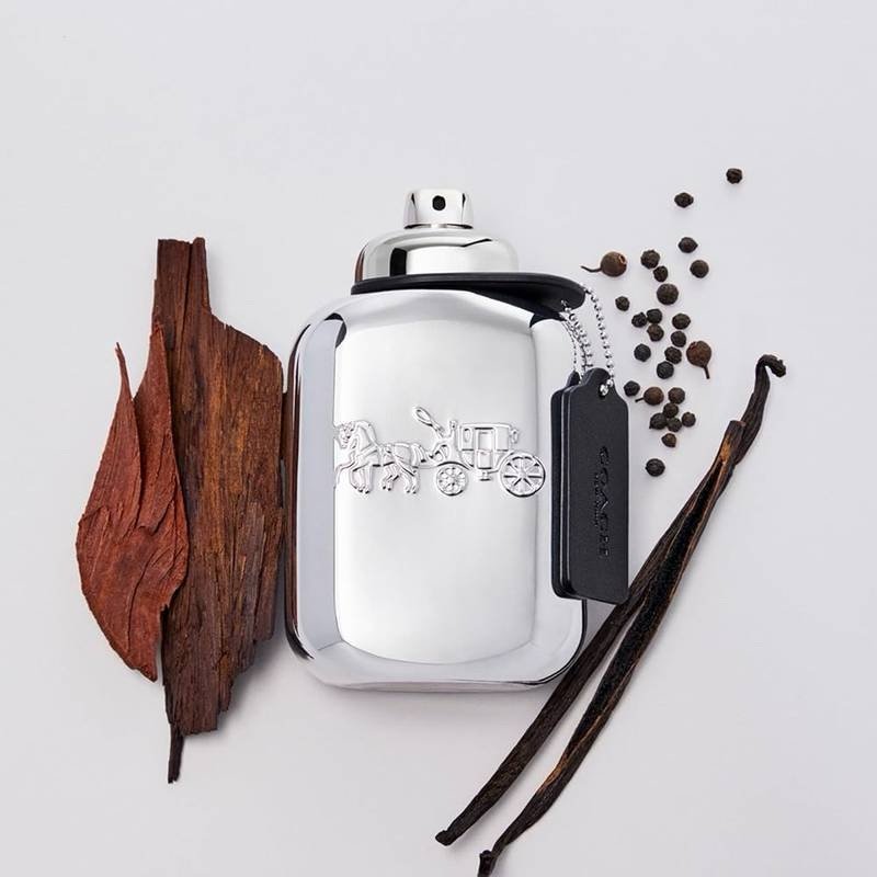 Coach New York Platinum Eau De Parfum (100ml)