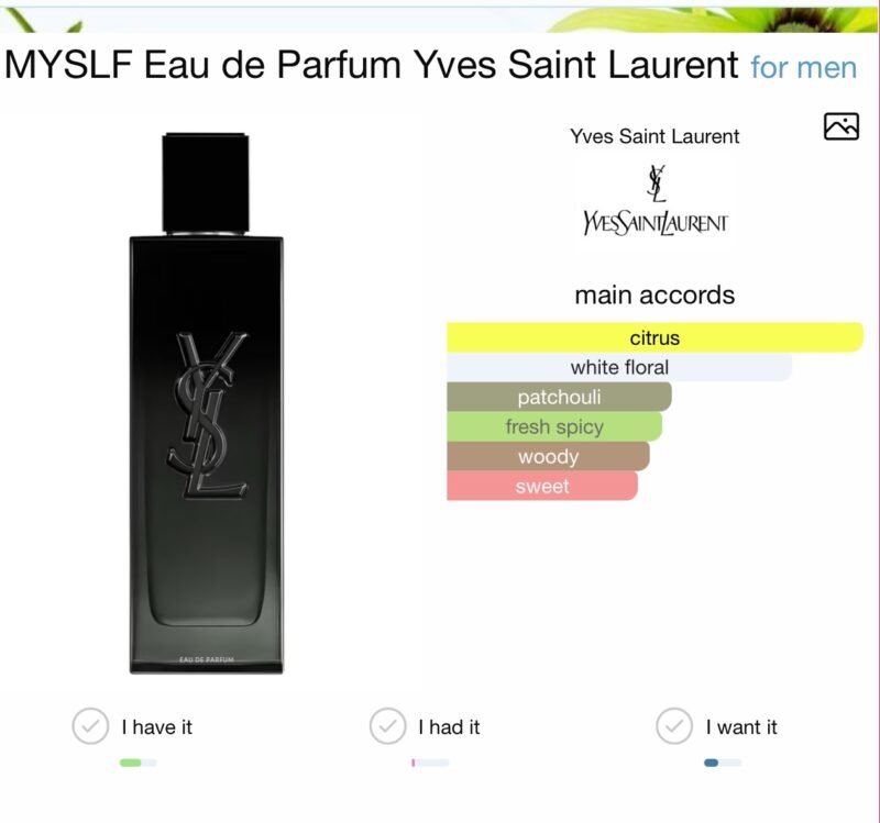 Ysl MYSLF Eau de Parfum Yves Saint Laurent 100ml