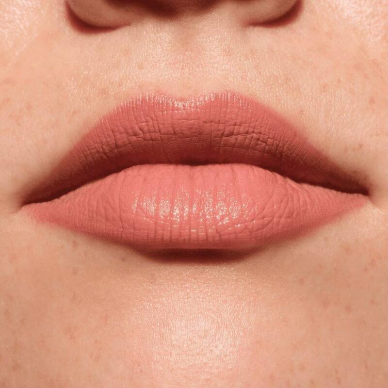 Catrice Lip Artist Matte Lipstick & Liner 010