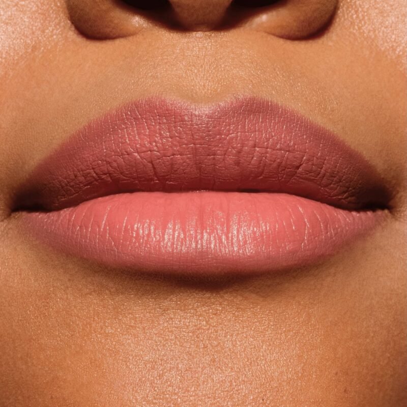 Catrice Lip Artist Matte Lipstick & Liner 030