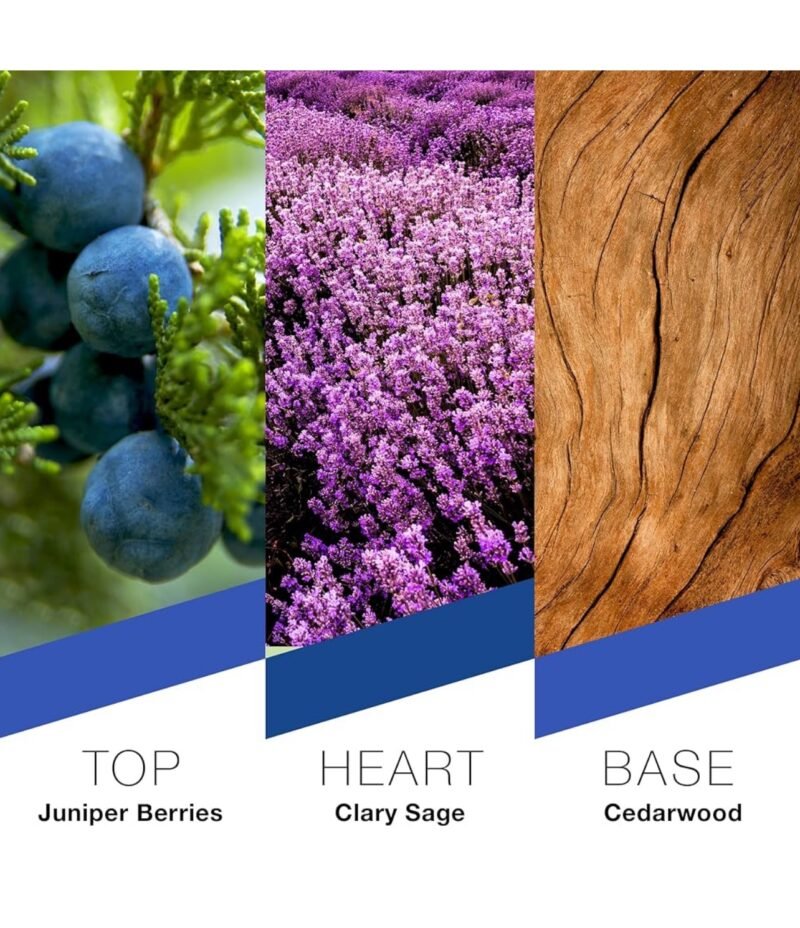 Pret à Porter City Collection New York Eau de Parfum 100 ml