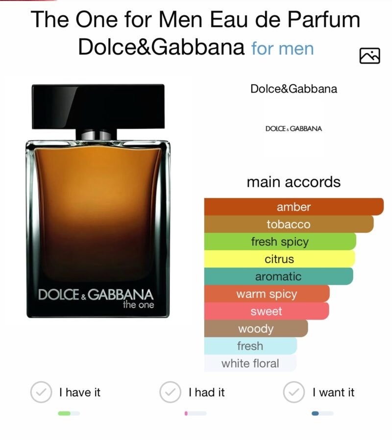 Dolce & Gabbana The One, Eau De Parfum Spray, Fragrance For Men 100 ml