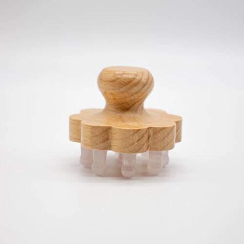 img_2452 Massage Beauty Tools 9 Teeth Crystal Head Massager