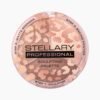 img_3263 STELLARY Professional Sculpting Palette TOH w