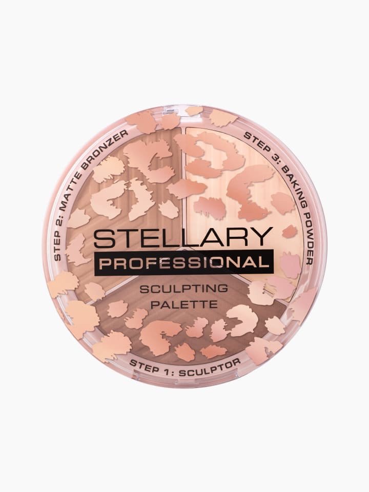 img_3263 STELLARY Professional Sculpting Palette TOH w