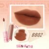 PINK FLASH Lasting Matte Lip cream - BB02