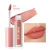 PINK FLASH Lasting Matte Lip Cream - N01