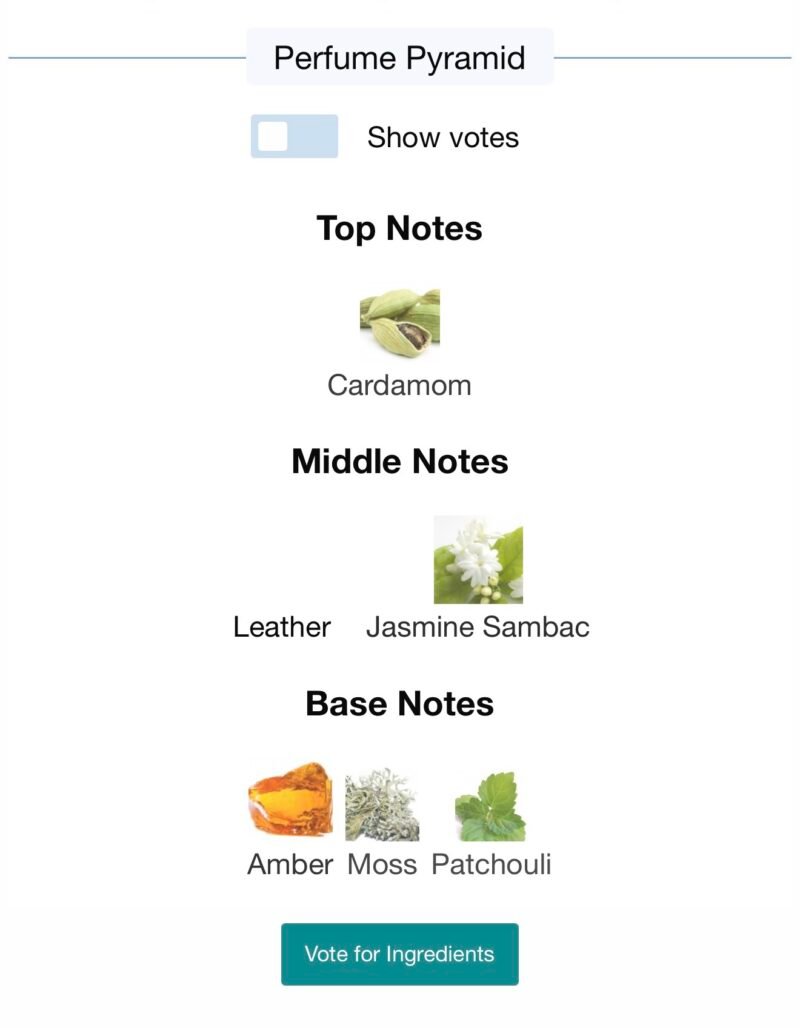 Tom ford ombre leather eau de parfum 100 ml