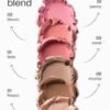 Paese Blush Stick - 02 Bloom