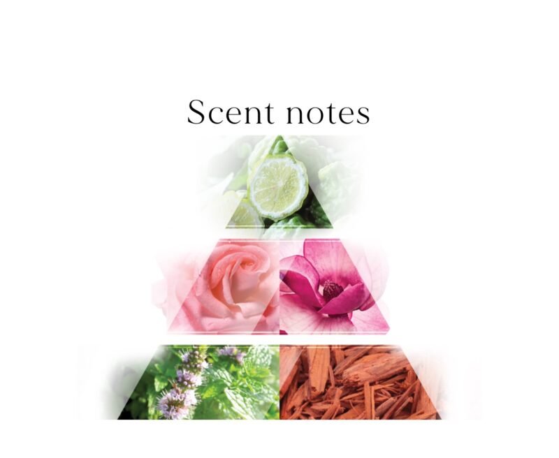 La Riva Look Of Woman Eau De Parfum