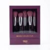 Ted Cosmo Brush Collection