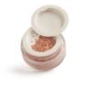 Paese Mineral Blush - 301N Dusty Rose