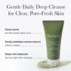 Arencia Green Tea + LHA Deep Pore Rice Cake Cleanser 150 ml