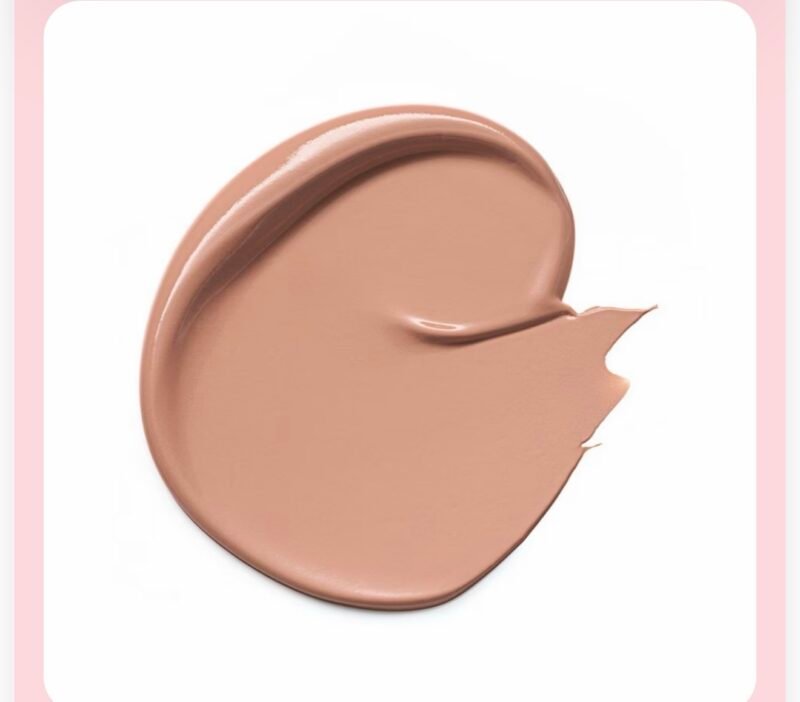 Essence Camouflage Matte Concealer Waterproof _160