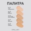 Stellary privilege foundation_02