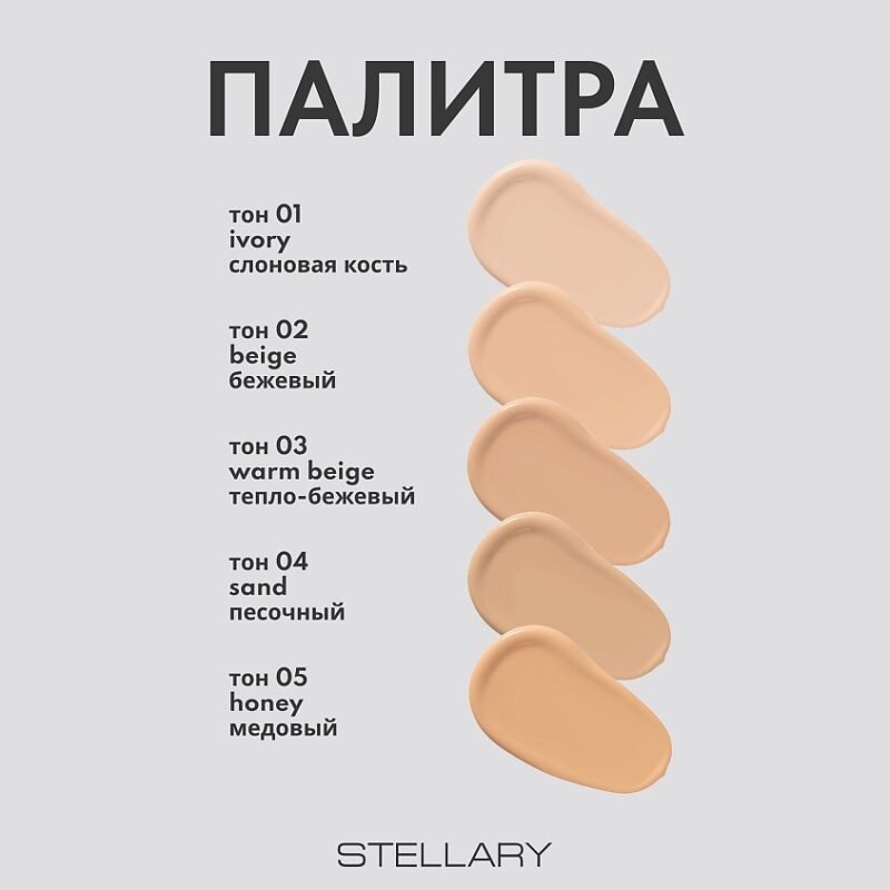 Stellary privilege foundation_02