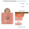 Amouage Guidance 100ml