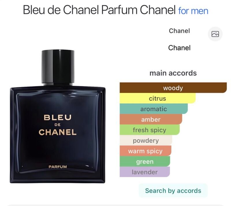Blue de chanel parfum pour homme 100ml