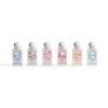 Ibraq summer collection 6 piece (10ml)