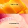 Victoria secret manga moche bite 250ml