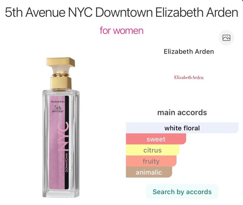 Elizabeth arden nyc downtown eau de parfum 75 ml