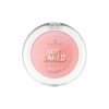 Essence soft baked blush _10