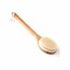 Bath Brush Long Handle Shower Brush