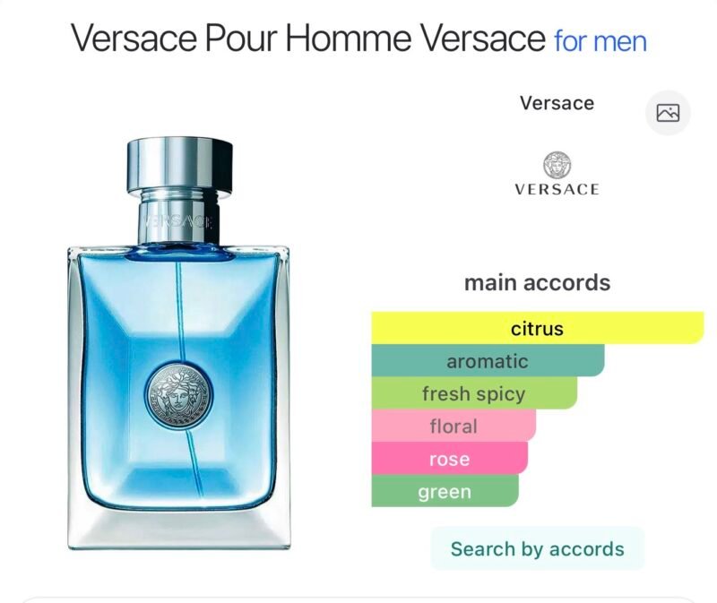 Versace pour homme eau de toilette 100ml