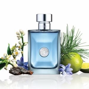 Versace pour homme eau de toilette 100ml